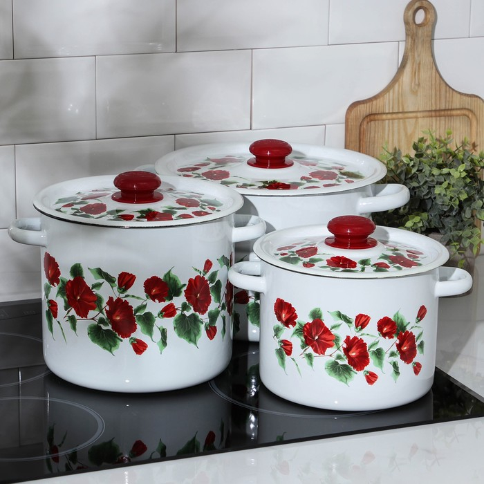 Набор эмалированных кастрюль &laquo;Рамо&raquo;, 3 предмета: 3,5 л, 5,5 л, 8 л