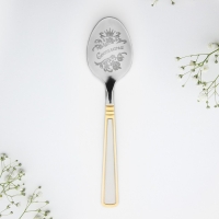 Ложка чайная с гравировкой «Светлана», в подарочной коробке, 3 х 15 см. Ложка чайная с гравировкой «Светлана», в подарочной коробке, 3 х 15 см.