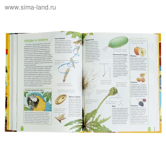 Большая энциклопедия школьника &laquo;Как это работает?&raquo;