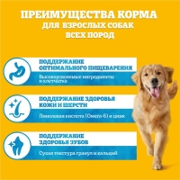 Сухой корм Pedigree для взрослых собак всех пород, говядина, 2,2 кг. Сухой корм Pedigree для взрослых собак всех пород, говядина, 2,2 кг.