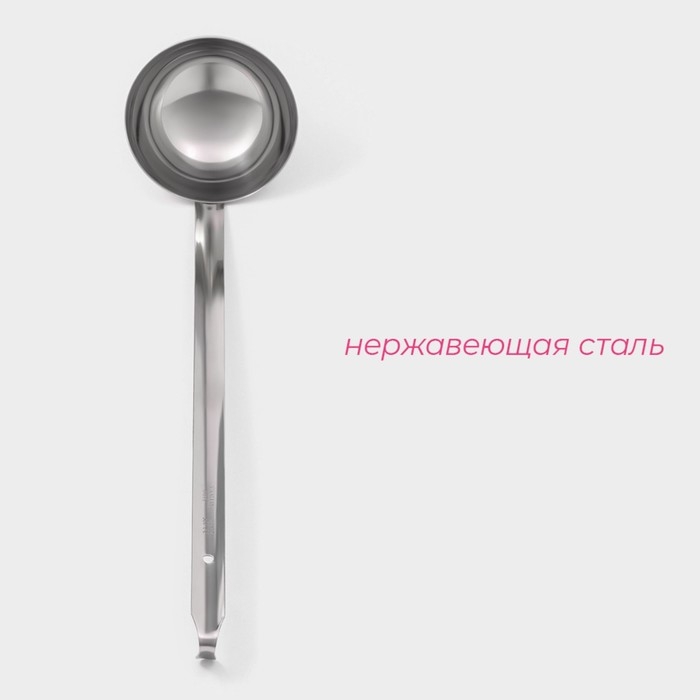 Половник из нержавеющей стали Доляна Everyday, 250 мл, 44&times;10,5 см, цвет серебряный