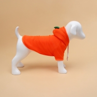 Толстовка "Любимая морковка", размер XL (ДС 40, ОГ 56 см) Толстовка "Любимая морковка", размер XL (ДС 40, ОГ 56 см)