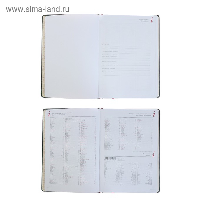 Ежедневник недатированный А4, 136 листов Sidney Nebraska, твёрдая обложка, искусственная кожа, золотой срез, ляссе, зелёный