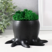 Кашпо бетонное "Осминог" высота 7 см, d-6,5 см черный с белой лапкой со мхом (мох зел,стаб) Кашпо бетонное "Осминог" высота 7 см, d-6,5 см черный с белой лапкой со мхом (мох зел,стаб)