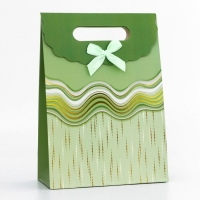 Подарочная коробка-пакет, упаковка с вырубной ручкой, "Зеленая грация" , 19 х 9 х 27 см Подарочная коробка-пакет, упаковка с вырубной ручкой, "Зеленая грация" , 19 х 9 х 27 см