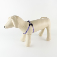 Комплект &laquo;Мур! Мур!&raquo;, шлейка 24-34х1 см, поводок 120 см