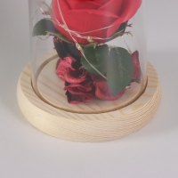 Ночник «Роза» LED 3хААА красный 9,5х9,5х14см Ночник «Роза» LED 3хААА красный 9,5х9,5х14см