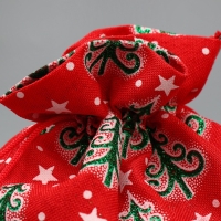 Мешочек подарочный холща «Дарю тебе», ёлки, 16 х 24 см +/- 1.5 см, Новый год Мешочек подарочный холща «Дарю тебе», ёлки, 16 х 24 см +/- 1.5 см, Новый год