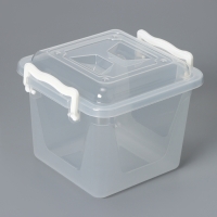 Контейнер для хранения с крышкой, 4 л, 19,5&times;19,5&times;17,5 см, цвет прозрачный