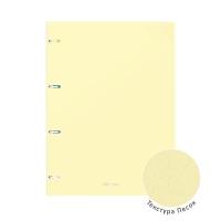 Тетрадь А4 на кольцах, 80 листов в клетку ErichKrause Pastel, пластиковая обложка, блок офсет 100% белизна, МИКС Тетрадь А4 на кольцах, 80 листов в клетку ErichKrause Pastel, пластиковая обложка, блок офсет 100% белизна, МИКС