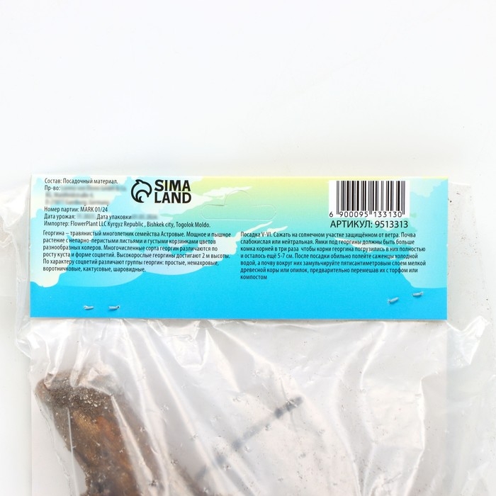 Георгина Бахромчатая Георгина Бахромчатая "RED FUBUKI" , р-р I, 1 шт,