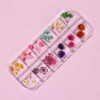 Сухоцветы для декора ногтей &laquo;Ассорти&raquo;, объёмные, 12 видов, в футляре, разноцветные