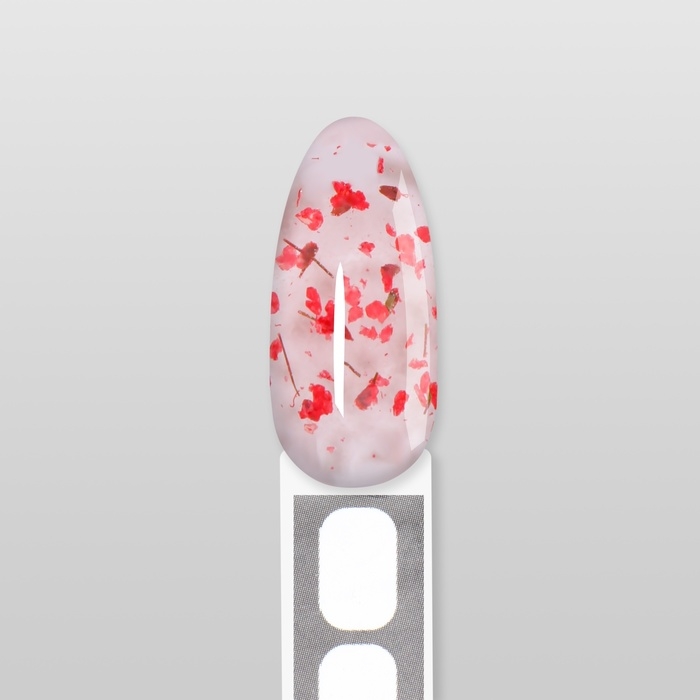 Гель для наращивания, с сухоцветами, 3-х фазный, 9 гр, LED/UV, цвет прозрачный/красный Гель для наращивания, с сухоцветами, 3-х фазный, 9 гр, LED/UV, цвет прозрачный/красный