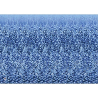 Альбом для тренировки зрения Альбом для тренировки зрения