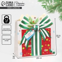 Пакет подарочный новогодний &laquo;Подарок&raquo;, 25 х 26 х 10 см, Новый год
