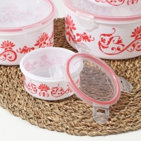 Набор ланч-боксов пластиковых круглых «Веточка», 4 шт: 0,25 л, 0,55 л, 1,05 л, 1,8 л Набор ланч-боксов пластиковых круглых «Веточка», 4 шт: 0,25 л, 0,55 л, 1,05 л, 1,8 л