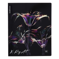 Тетрадь 96 листов в клетку, ErichKrause X-Ray Art, обложка мелованный картон, голографическая ламинация, блок офсет 100% белизна, МИКС Тетрадь 96 листов в клетку, ErichKrause X-Ray Art, обложка мелованный картон, голографическая ламинация, блок офсет 100% белизна, МИКС
