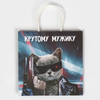 Пакет подарочный, упаковка, &laquo;Мужику&raquo;, 22 х 22 х 11 см