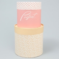 Набор шляпных коробок 2 в 1, упаковка подарочная, &laquo;Точки&raquo;, 13 х 13 см, 16 х 16 см