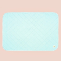 Пелёнка для животных многоразовая впитывающая, 70 х 100 см, мятная Пелёнка для животных многоразовая впитывающая, 70 х 100 см, мятная