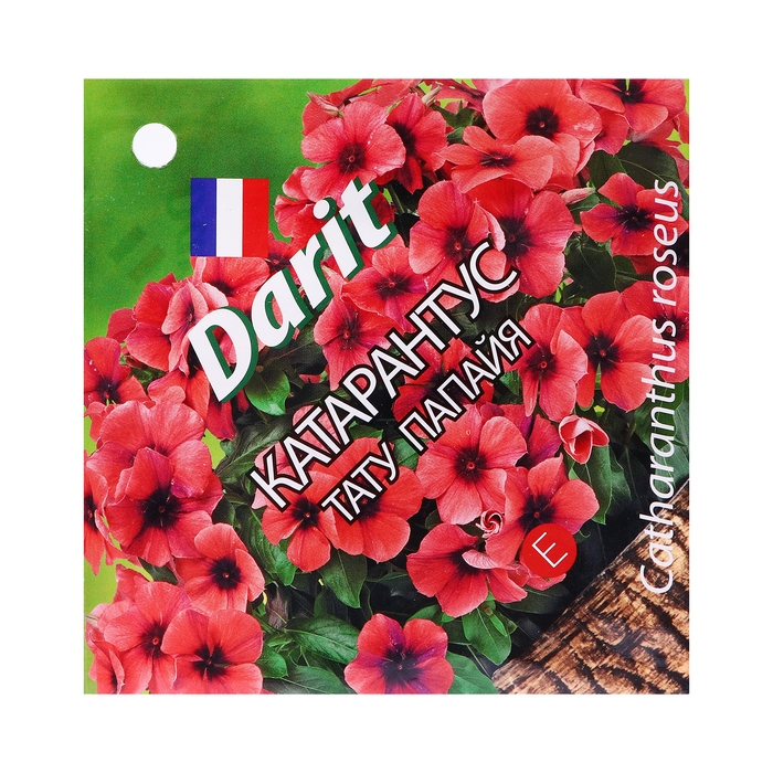 Семена цветов Катарантус Семена цветов Катарантус "Тату Палайя", 7 шт