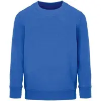 Свитшот детский Columbia Kids, ярко-синий (royal), на рост130-140