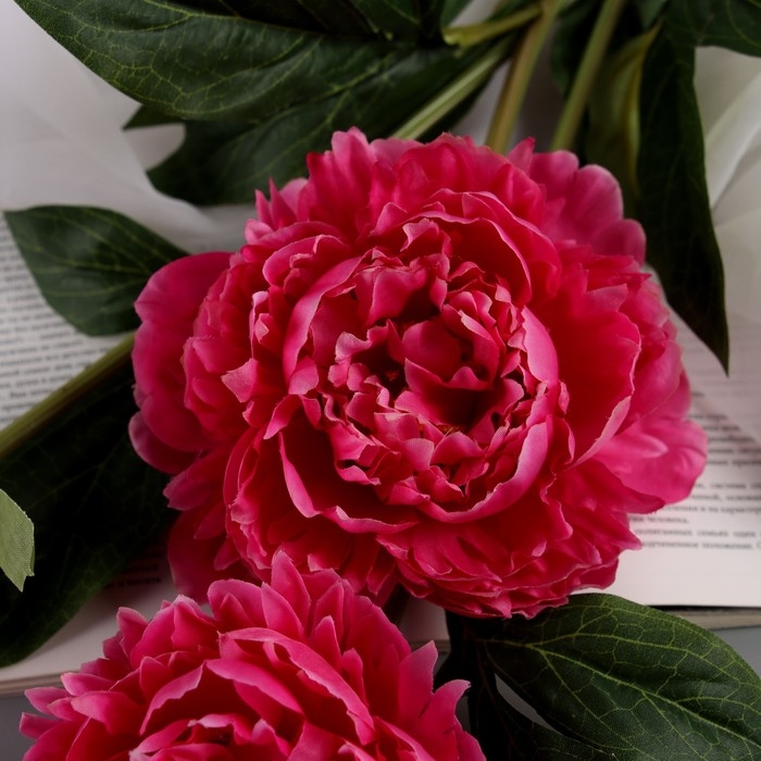 Цветы искусственные "Пион Беверли люкс" 60 см, ярко-розовый