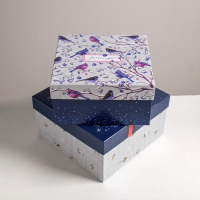 Набор подарочных коробок 6 в 1 «Новогодний», 10.2 х 10.2 х 6 см - 20 х 20 х 11 см, Новый год Набор подарочных коробок 6 в 1 «Новогодний», 10.2 х 10.2 х 6 см - 20 х 20 х 11 см, Новый год