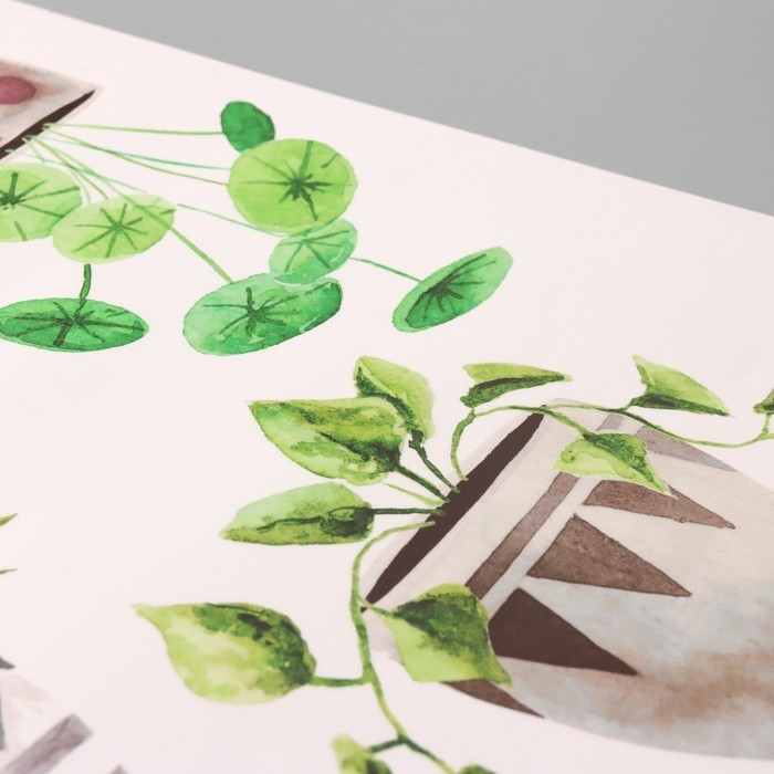 Наклейка пластик интерьерная цветная "Комнатные цветы" 40х60 см