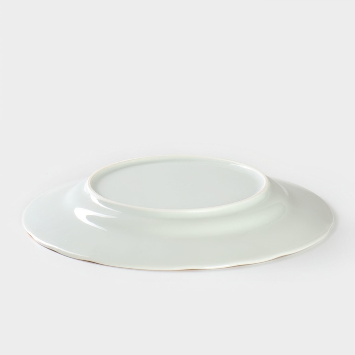 Тарелка фарфоровая &laquo;Надежда. Стильный&raquo;, d=24 см