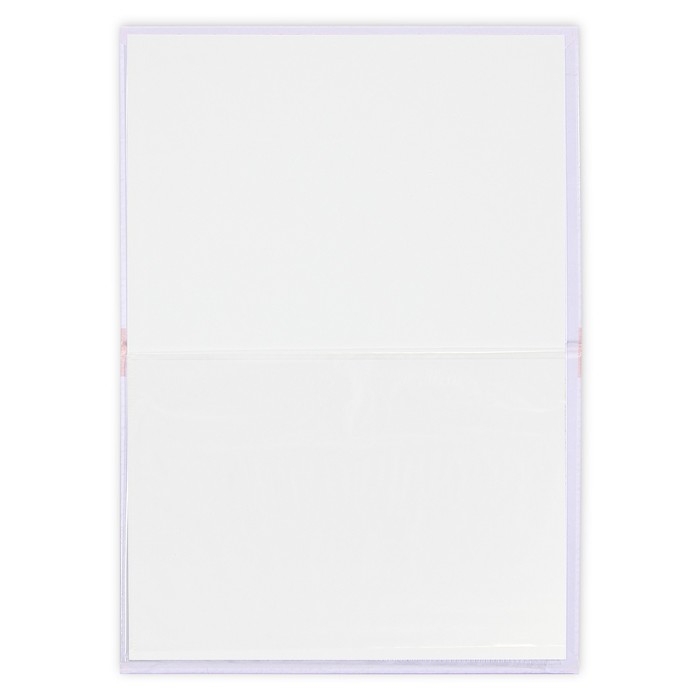 Папка для свидетельства о рождении &laquo;Первый документ&raquo;, А5.