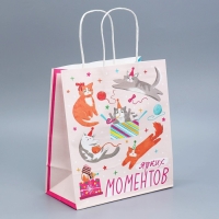 Пакет подарочный крафтовый, упаковка, «Вечеринка», 22 х 25 х 12 см Пакет подарочный крафтовый, упаковка, «Вечеринка», 22 х 25 х 12 см