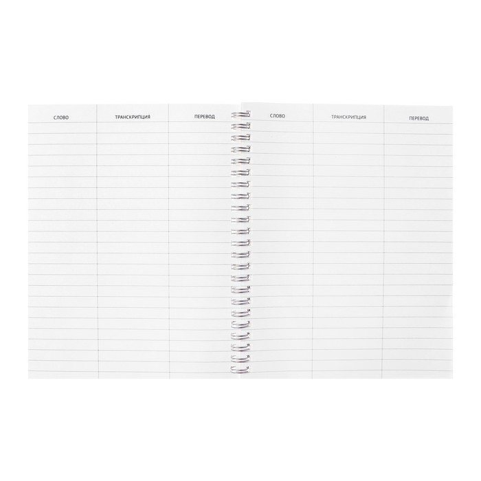 Тетрадь-словарик для записи иностранных слов А5, 48 листов на гребне Location, обложка мелованный картон, блок офсет 65 г/м2, МИКС Тетрадь-словарик для записи иностранных слов А5, 48 листов на гребне Location, обложка мелованный картон, блок офсет 65 г/м2, МИКС