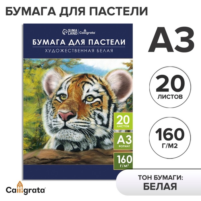 Бумага для пастели А3, 20 листов Бумага для пастели А3, 20 листов "Тигр", блок 160 г/м2, в папке