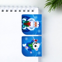 Подарочный набор новогодний, блокнот,наклейки 2 л и магнитные закладки 2 шт &laquo;Чудесный набор&raquo;