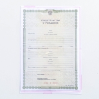 Папка для свидетельства о рождении &laquo;Малышка&raquo;, А5