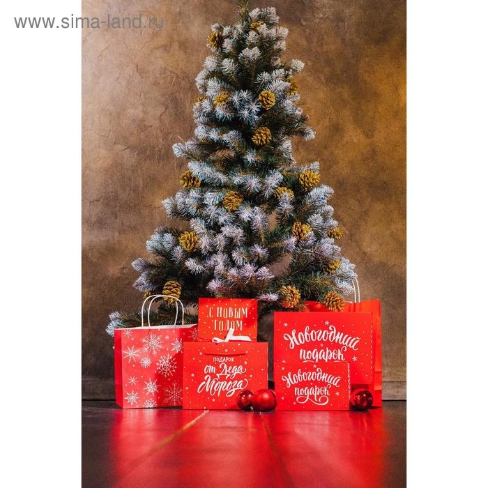 Коробка‒книга &laquo;Новогодний подарок&raquo;, 20 х 12.5 х 5 см, Новый год