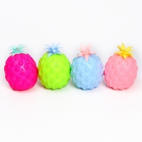 Мялка «Ананас» с пастой, цвета МИКС Мялка «Ананас» с пастой, цвета МИКС