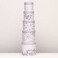 Набор шляпных коробок 5 в 1 "Астры" сиреневый, 22 х 19,5 , 14 х 13 см Набор шляпных коробок 5 в 1 "Астры" сиреневый, 22 х 19,5 , 14 х 13 см