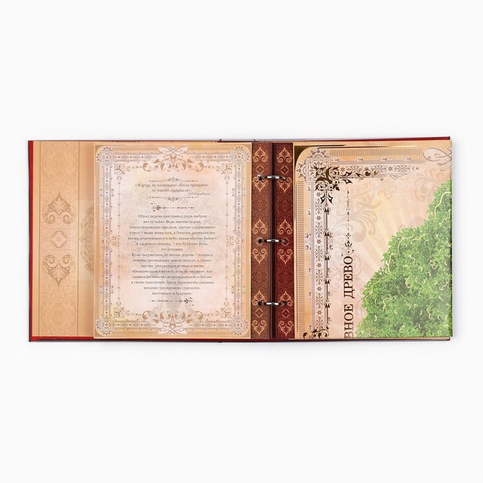 Родословная книга с рамкой под фото &laquo;Семейная книга&raquo;, 50 листов, 21,5 х 23,7 см.