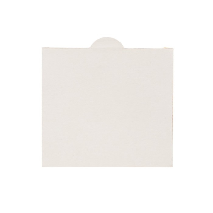 Ловушка для комнат и оранжерей "ARGUS ЭКО", 1 шт