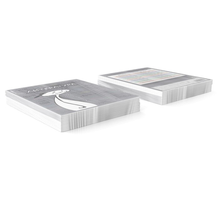 Тетрадь предметная ЛИТЕРАТУРА, 48 листов в линейку, ErichKrause Тетрадь предметная ЛИТЕРАТУРА, 48 листов в линейку, ErichKrause "Чубрик", пластиковая обложка, шелкография, блок офсет 100% белизна, инфо-блок