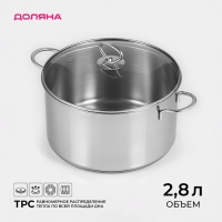 Кастрюля из нержавеющей стали &laquo;Грейт&raquo;, 2,8 л, капсульное дно, индукция