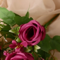 Букет "Роза Элегия" 5х27 см, микс Букет "Роза Элегия" 5х27 см, микс