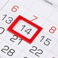 Календарь квартальный Премиум трио "Символ года" 2025 год, 29,7 х 75,8 см