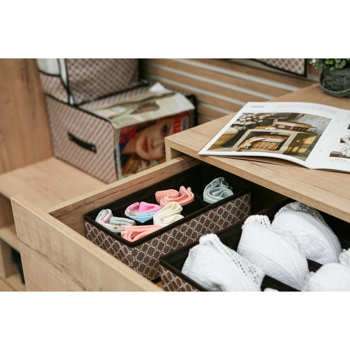 Органайзер для хранения белья Доляна &laquo;Браун&raquo;, 8 ячеек, 28&times;14&times;10 см, цвет коричневый