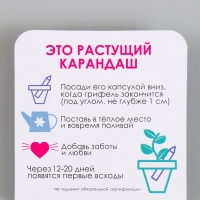 Растущие подарочные карандаши mini Ель - залог здоровья "Ель голубая" Растущие подарочные карандаши mini Ель - залог здоровья "Ель голубая"