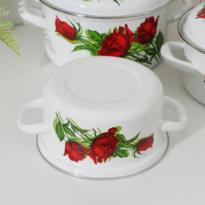 Набор эмалированных кастрюль &laquo;Андорра-1&raquo;, 3 предмета: 1,5 л, 2,3 л, 3 л, индукция