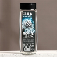 Новый Год. Гель для душа &laquo;Холода - не преграда&raquo;, 250 мл, аромат свежести севера