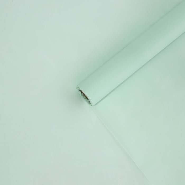 Плёнка для цветов упаковочная тишью влагостойкая «Мята», 0.6 x 8 м, 30мкм Плёнка для цветов упаковочная тишью влагостойкая «Мята», 0.6 x 8 м, 30мкм